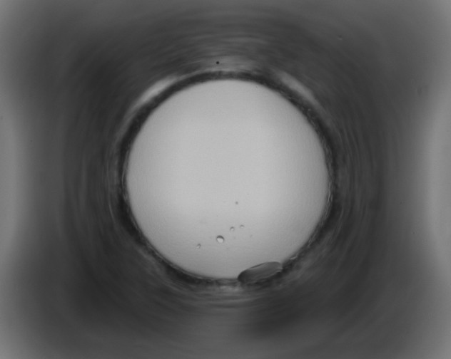 X0000083041315200703022040