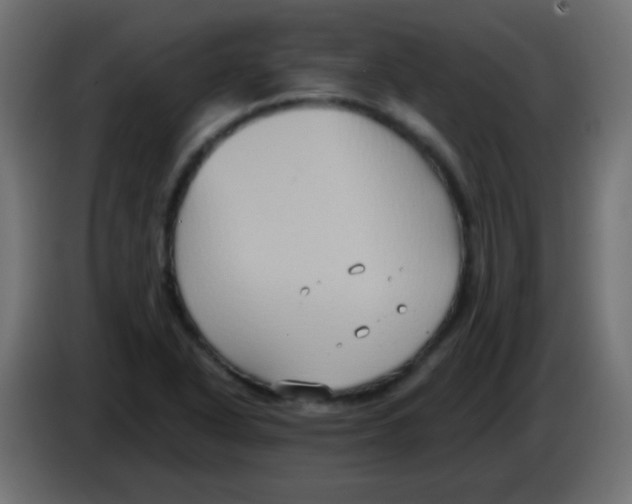 X0000083041318200703022040