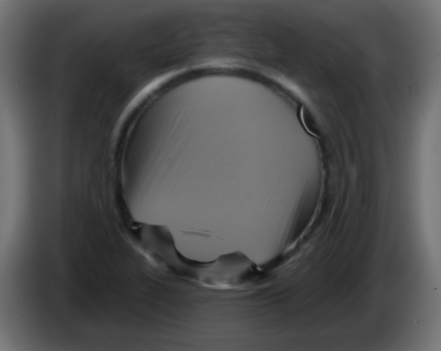 X0000083041319200703022040