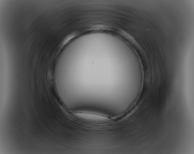 X0000083041321200703022040