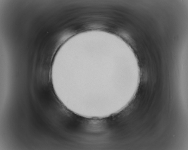 X0000083041322200703022040