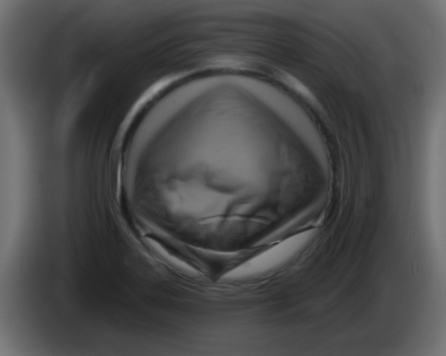 X0000083041323200703022040