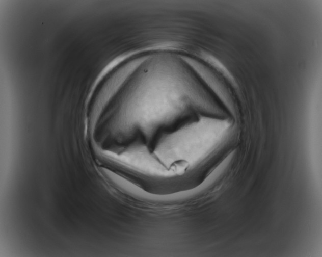 X0000083041324200703022040