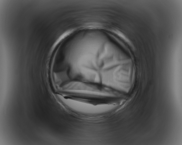 X0000083041325200703022040