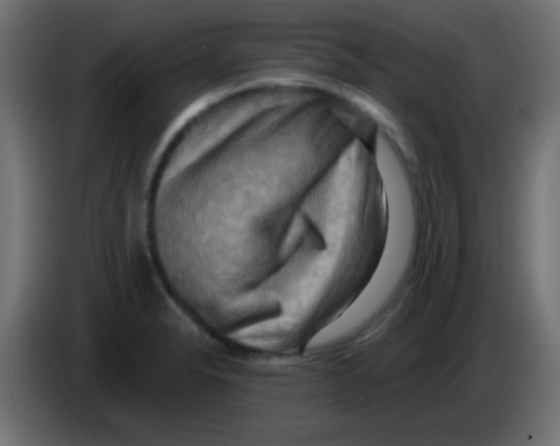 X0000083041326200703022040