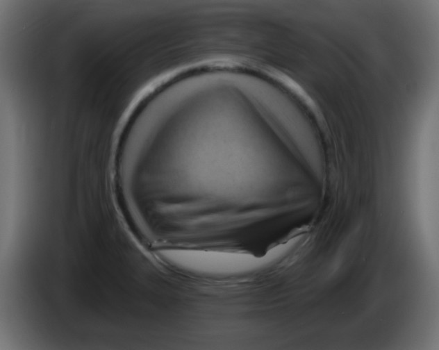 X0000083041327200703022040