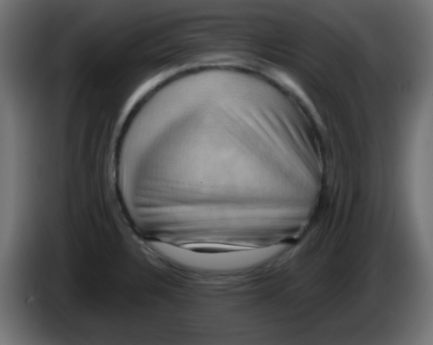 X0000083041328200703022040