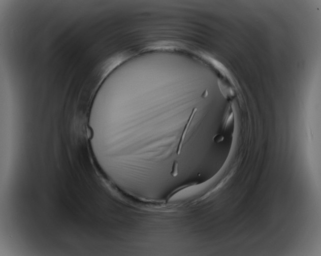 X0000083041329200703022040