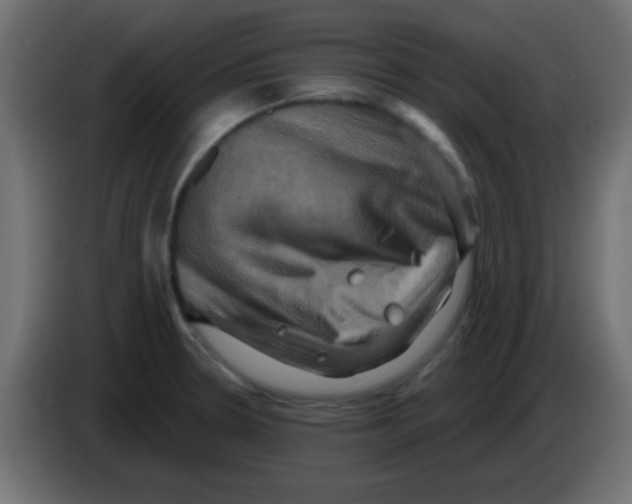 X0000083041330200703022040