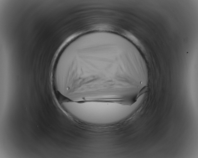 X0000083041331200703022040