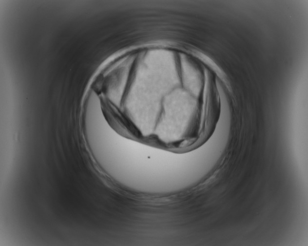 X0000083041332200703022040