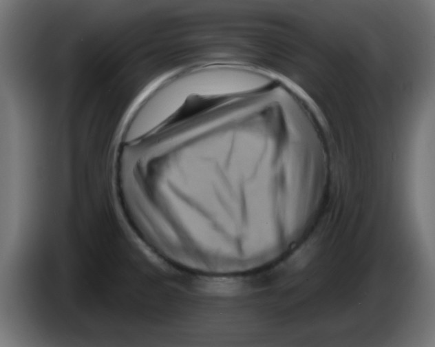 X0000083041333200703022040