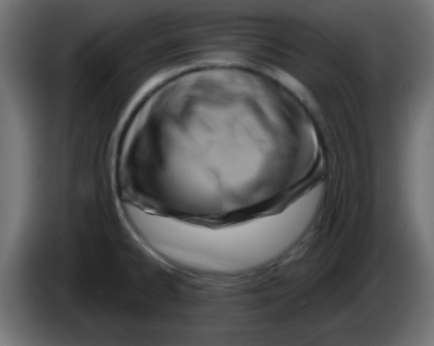 X0000083041334200703022040