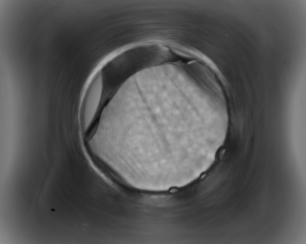 X0000083041335200703022040