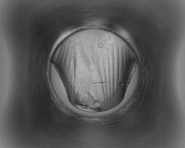 X0000083041336200703022040