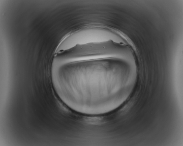 X0000083041337200703022040