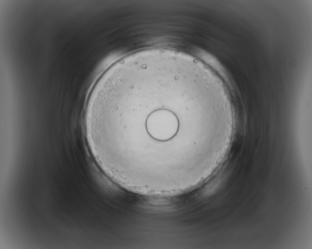 X0000083041338200703022040