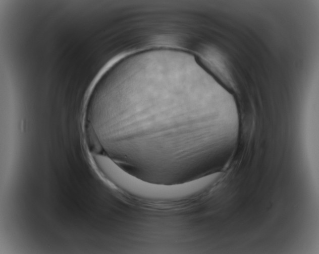 X0000083041339200703022040