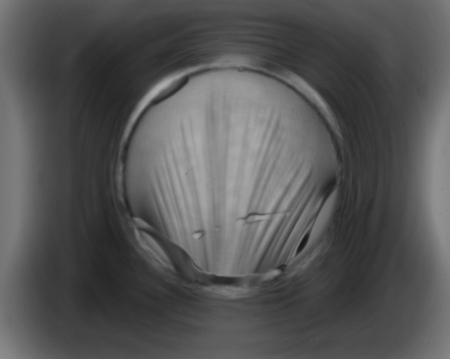 X0000083041340200703022040