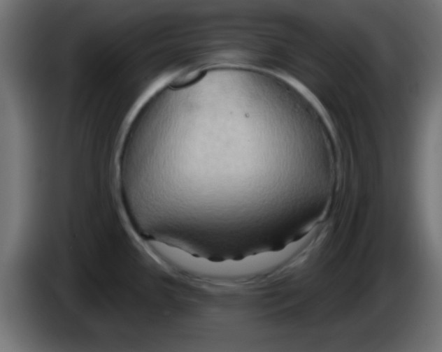 X0000083041341200703022040