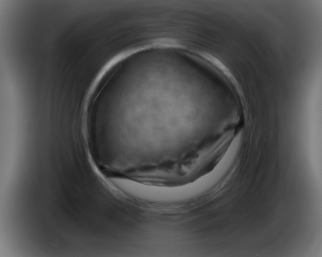 X0000083041342200703022040