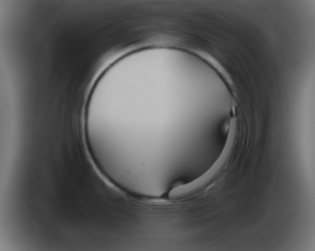 X0000083041343200703022040