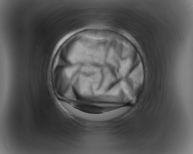 X0000083041344200703022040