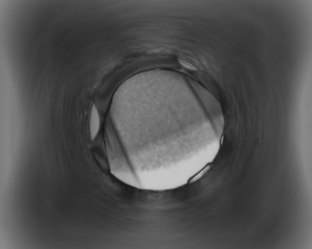 X0000083041345200703022039