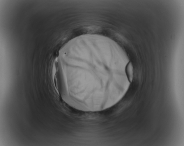 X0000083041346200703022039