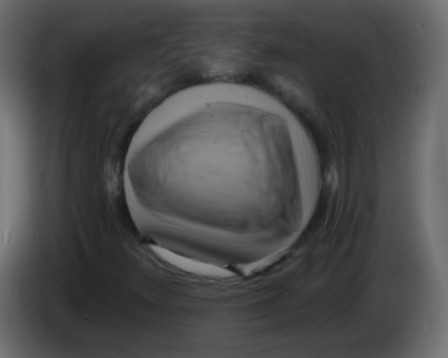 X0000083041348200703022039