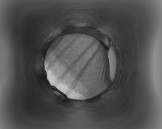 X0000083041349200703022039