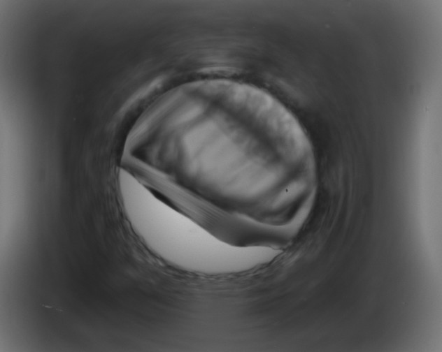 X0000083041351200703022039