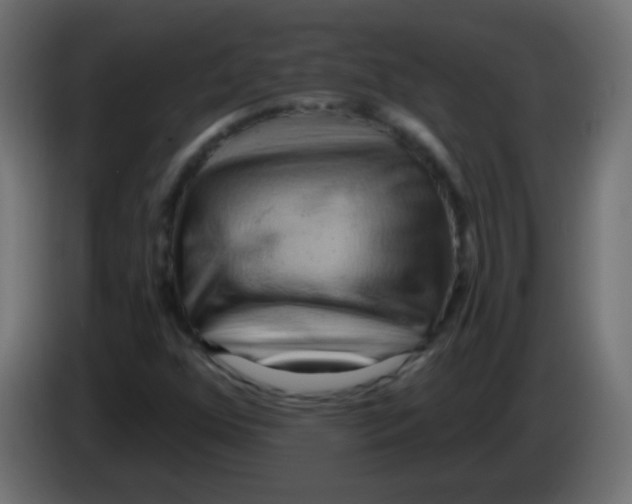 X0000083041352200703022039