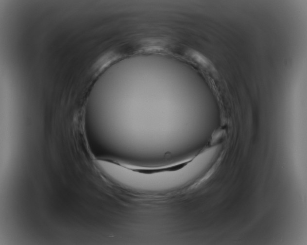 X0000083041353200703022039