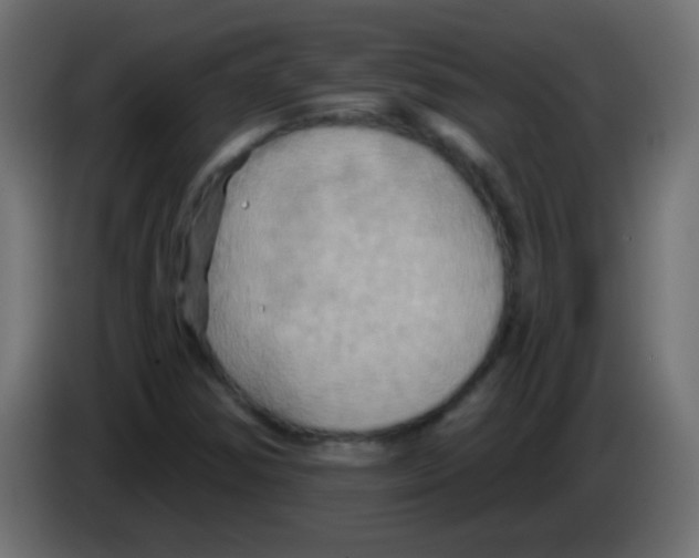 X0000083041354200703022039