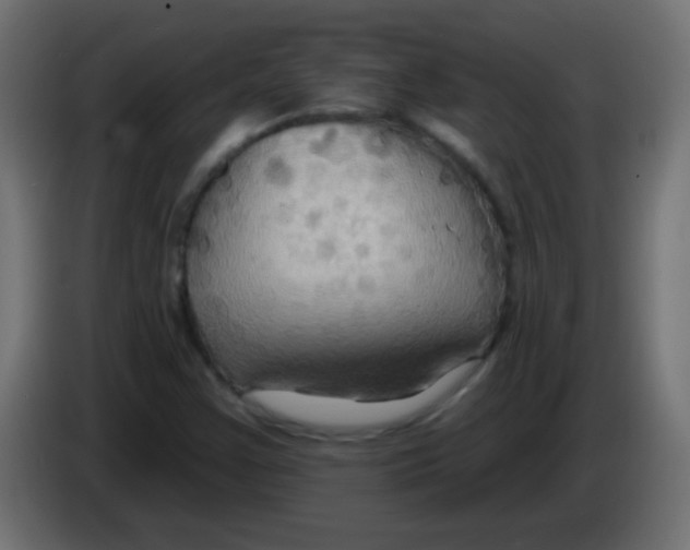 X0000083041355200703022039