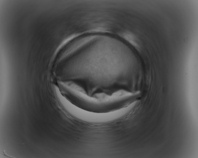 X0000083041356200703022039