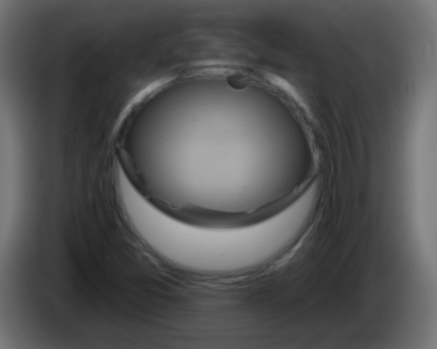 X0000083041357200703022039