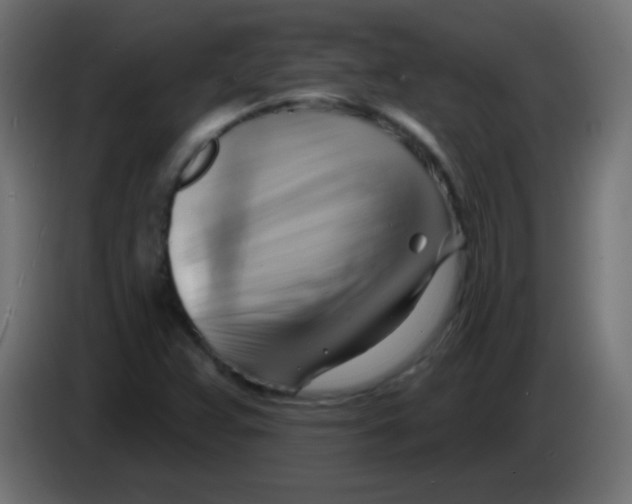 X0000083041359200703022039