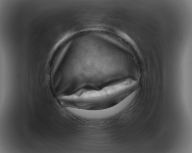 X0000083041360200703022039