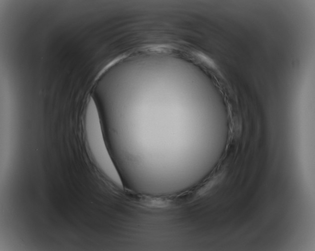 X0000083041361200703022039