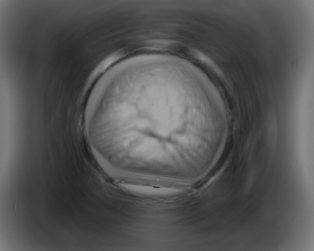 X0000083041362200703022039