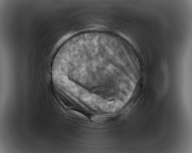 X0000083041363200703022039