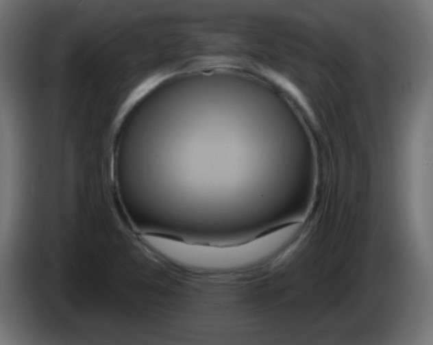 X0000083041365200703022039