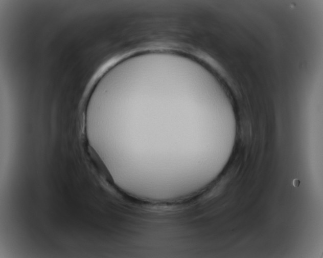 X0000083041366200703022039