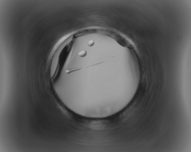 X0000083041367200703022039