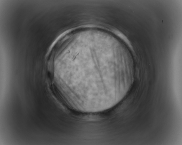 X0000083041368200703022039