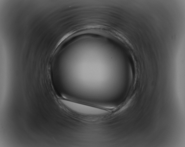 X0000083041369200703022039