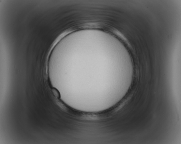 X0000083041370200703022039