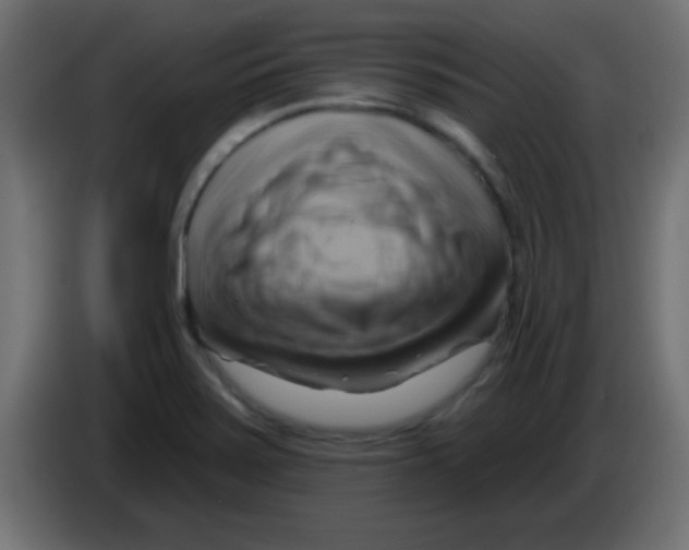 X0000083041371200703022039